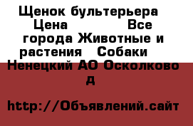 Щенок бультерьера › Цена ­ 35 000 - Все города Животные и растения » Собаки   . Ненецкий АО,Осколково д.